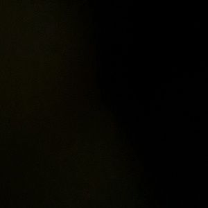 Meet your Posher, Antonio